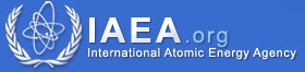 Workshop on Beta-delayed neutron emitters: evaluation and measurements