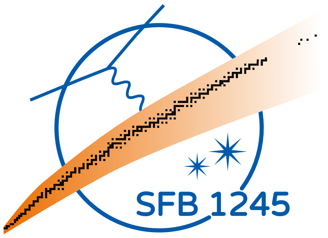SFB 1245
