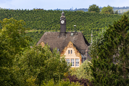 Copyright: Klaus Peters (GSI)