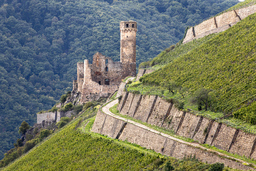 Copyright: Klaus Peters (GSI)