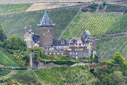 Copyright: Klaus Peters (GSI)